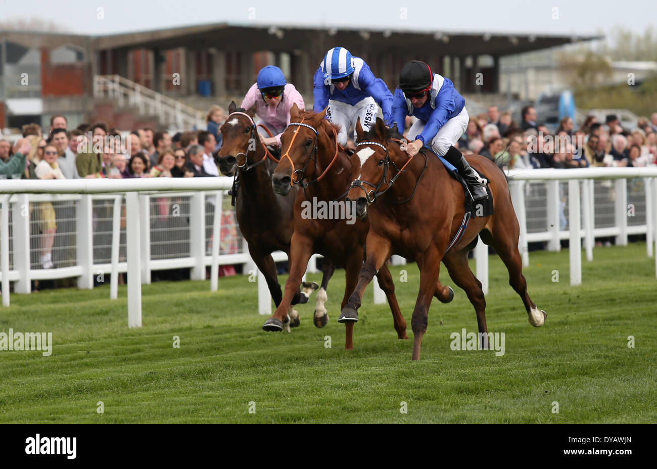 Newbury, UK. 12th Apr, 2014. Mattallab under Dane O` Neill wins the Dubai Duty Free Stakes Maiden during the Dubai Duty Free and New To Racing Day at Newbury Racecourse Credit:  Action Plus Sports/Alamy Live News Stock Photo